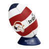 Ballon de rugby collector - FRANCE CLASSIC RUGBY