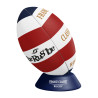 Ballon de rugby collector - FRANCE CLASSIC RUGBY